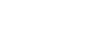 bluechip